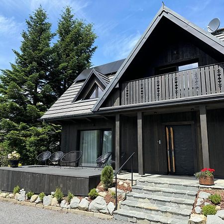 Chalet V11 By Villa 11 Folk & Design 扎科帕内 外观 照片