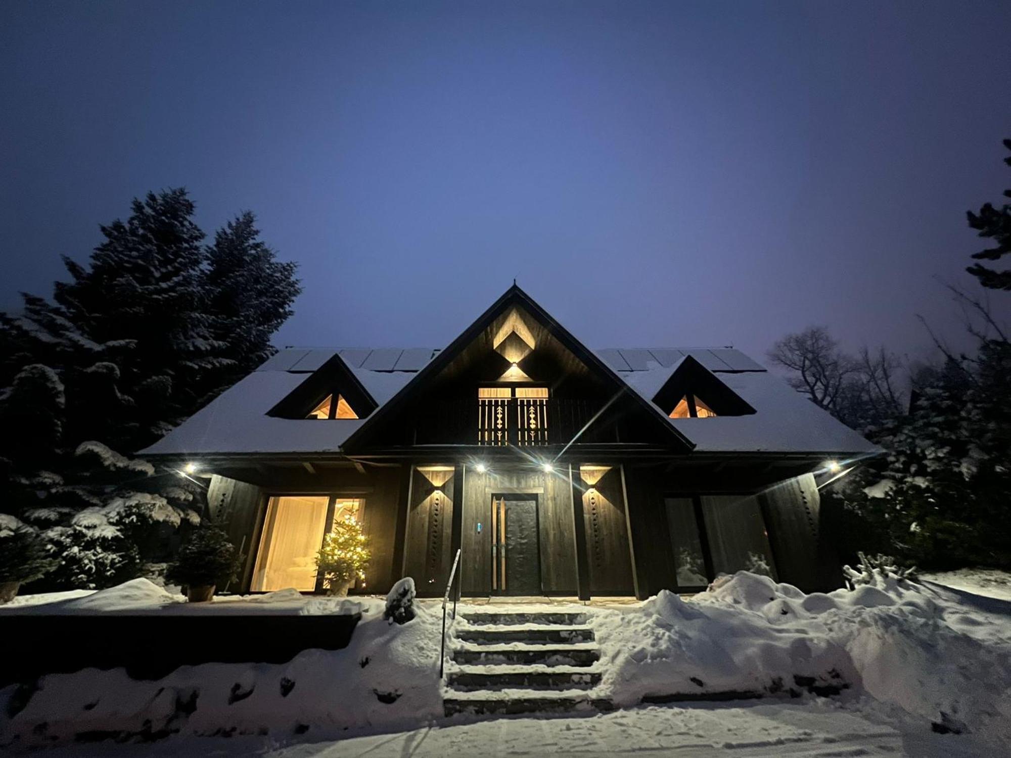 Chalet V11 By Villa 11 Folk & Design 扎科帕内 外观 照片